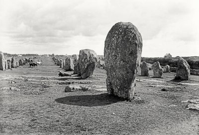 Ausrichtung von stehenden Steinen, Megalithisch, 4.-3. Jahrtausend v. Chr. von Prehistoric